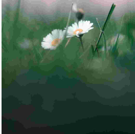 JPEG condition, example 2